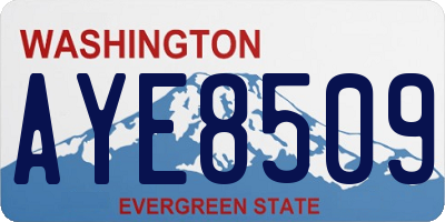 WA license plate AYE8509