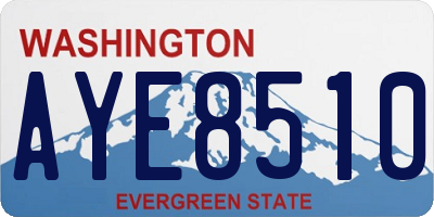 WA license plate AYE8510