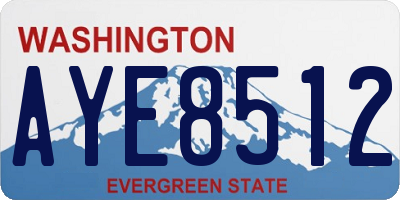 WA license plate AYE8512