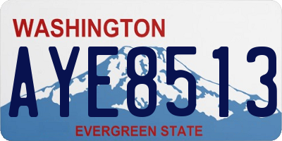 WA license plate AYE8513