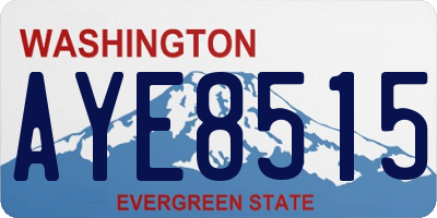 WA license plate AYE8515