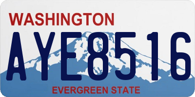 WA license plate AYE8516