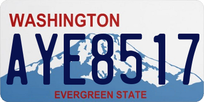 WA license plate AYE8517