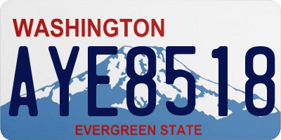 WA license plate AYE8518