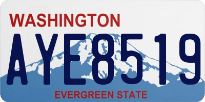 WA license plate AYE8519