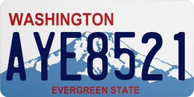 WA license plate AYE8521