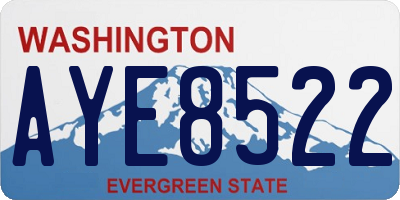WA license plate AYE8522