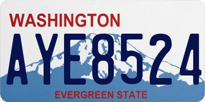 WA license plate AYE8524