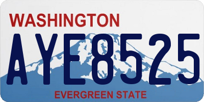 WA license plate AYE8525