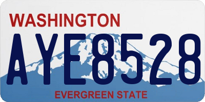 WA license plate AYE8528