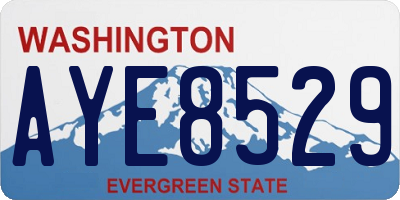 WA license plate AYE8529