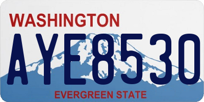 WA license plate AYE8530