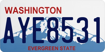 WA license plate AYE8531