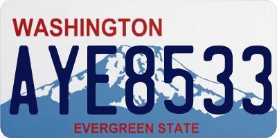 WA license plate AYE8533