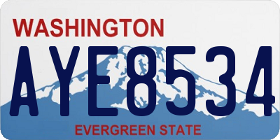 WA license plate AYE8534