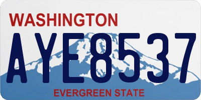 WA license plate AYE8537