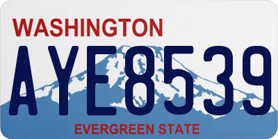 WA license plate AYE8539