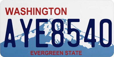 WA license plate AYE8540
