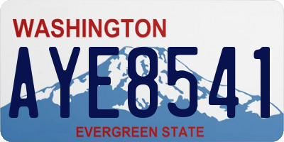 WA license plate AYE8541
