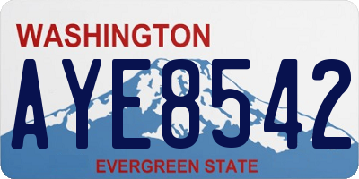 WA license plate AYE8542