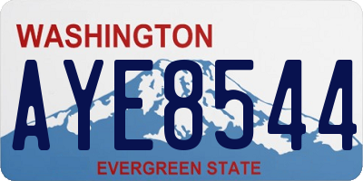 WA license plate AYE8544