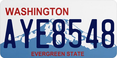 WA license plate AYE8548