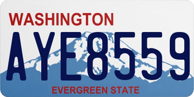 WA license plate AYE8559