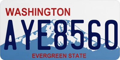 WA license plate AYE8560