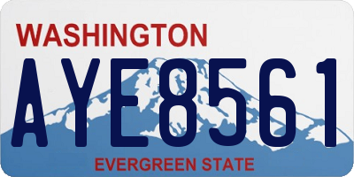 WA license plate AYE8561