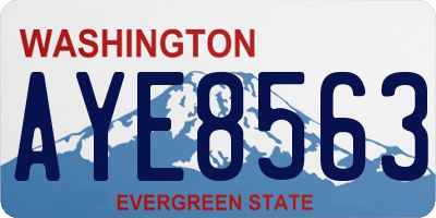 WA license plate AYE8563