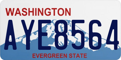 WA license plate AYE8564