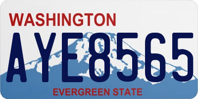 WA license plate AYE8565