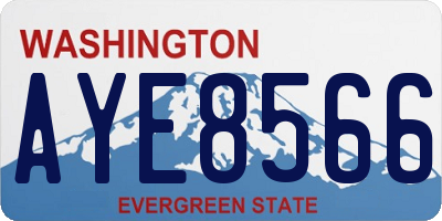 WA license plate AYE8566