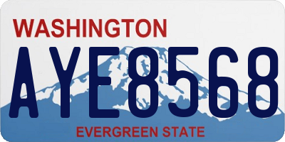 WA license plate AYE8568