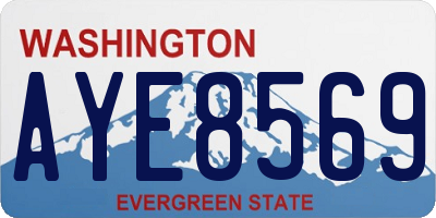 WA license plate AYE8569