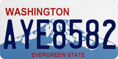 WA license plate AYE8582