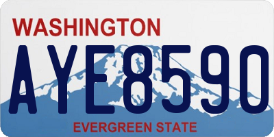 WA license plate AYE8590
