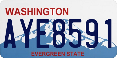 WA license plate AYE8591