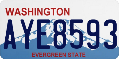 WA license plate AYE8593