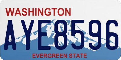 WA license plate AYE8596