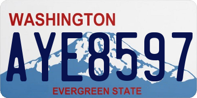 WA license plate AYE8597
