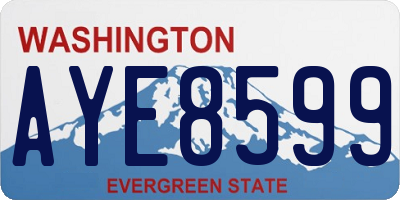 WA license plate AYE8599