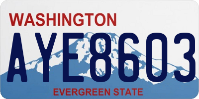 WA license plate AYE8603