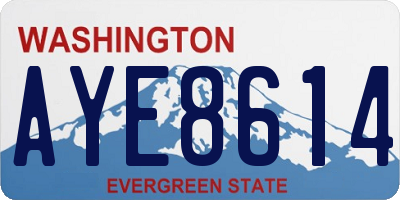 WA license plate AYE8614