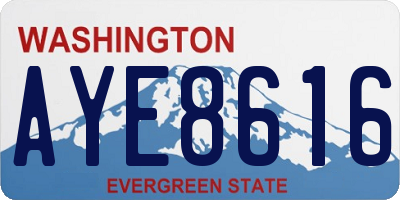 WA license plate AYE8616