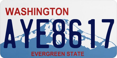 WA license plate AYE8617