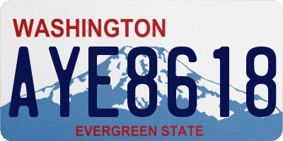 WA license plate AYE8618