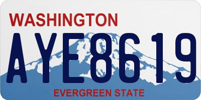 WA license plate AYE8619