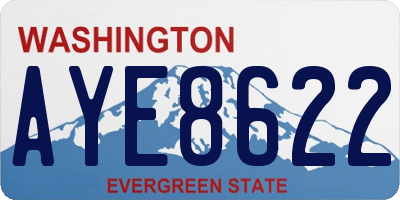 WA license plate AYE8622