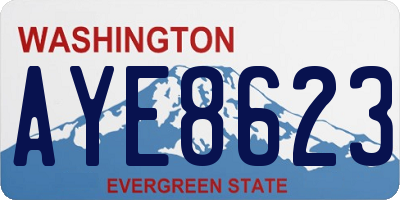 WA license plate AYE8623
